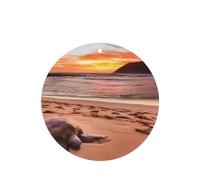 Phayah Sea Turtle Sunset Pattern Lavender Scent Car Air Freshener Round Shape Card Hanging Hanging Scented Card 4 Pcs For Cars Closet Shoe