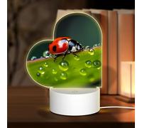 PHAYAH Seven-Starred Ladybird Pattern Heart Shape Decorative Night Lights with USB Plug in Table Lamp with 3 Light Modes Adjustable for Bedroom Living Room Cafe