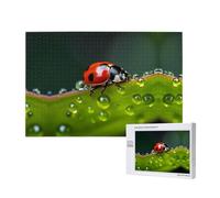 Phayah Seven-Starred Ladybird Puzzles 1000 Piece For Jigsaw Puzzle Wooden Puzzle Forfamily Friend Home Decor Wall Art 29.5 X 19.7 In