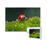 Phayah Seven-Starred Ladybird Puzzles 300 Piece For Jigsaw Puzzle Wooden Puzzle For Family Friend Home Decor Wall Art 15.7 X 11 In