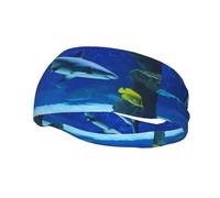 Phayah Shark Chasing Small Fish Pattern Sports Headband Moisture Wicking Sweatband for Men Women Running Cycling Yoga Fitness Workout