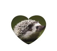 Phayah Small Hedgehog Pattern Lavender Scent Car Air Freshener Heart Shape Card Hanging Hanging Scented Card 6 Pcs For Cars Closet Shoe