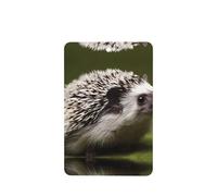 Phayah Small Hedgehog Pattern Lavender Scent Car Air Freshener Rectangle Card Hanging Hanging Scented Card 6 Pcs For Cars Closet Shoe