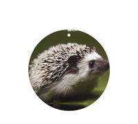 Phayah Small Hedgehog Pattern Lavender Scent Car Air Freshener Round Shape Card Hanging Hanging Scented Card 4 Pcs For Cars Closet Shoe