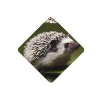 Phayah Small Hedgehog Pattern Lavender Scent Car Air Freshener Square Card Hanging Hanging Scented Card 6 Pcs For Cars Closet Shoe