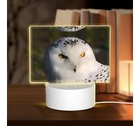 PHAYAH Snowy Owl Eyes Pattern Acrylic Night Light with USB Port Touch Switch Birthday Thanksgiving Presents for Family Friends