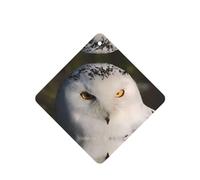 Phayah Snowy Owl Eyes Pattern Lavender Scent Car Air Freshener Square Card Hanging Hanging Scented Card 4 Pcs For Cars Closet Drawer Eliminate