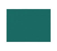 PHAYAH Solid Dark Green Pattern Ultra-Soft Micro Blanket Flannel Blankets for Couch Sofa Bed Living Room Office Lunch Break 80"X60"