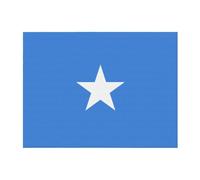 PHAYAH Somali Flag Pattern Ultra-Soft Micro Blanket Flannel Blankets for Couch Sofa Bed Living Room Office Lunch Break 60"X50"
