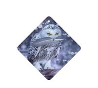 Phayah Square Car Air Fresheners Cards 4 Pcs Arctic Owl Pattern Auto Aromatherapy Tablets Hanging Scented Card - Lavender Scent