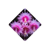 Phayah Square Car Air Fresheners Cards 4 Pcs Beautiful Flower Pattern Auto Aromatherapy Tablets Hanging Scented Card - Lavender Scent