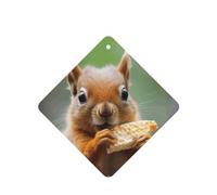 Phayah Square Car Air Fresheners Cards 4 Pcs Cute Squirrel Eating Pattern Auto Aromatherapy Tablets Hanging Scented Card - Lavender Scent