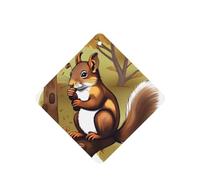 Phayah Square Car Air Fresheners Cards 4 Pcs Nut-Eating Squirrel Pattern Auto Aromatherapy Tablets Hanging Scented Card - Lavender Scent
