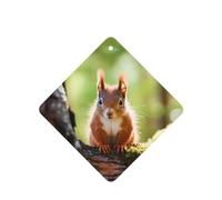 Phayah Square Car Air Fresheners Cards 4 Pcs Red Squirrel Pattern Auto Aromatherapy Tablets Hanging Scented Card - Lavender Scent