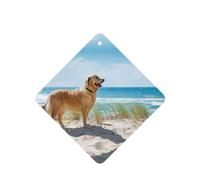 Phayah Square Car Air Fresheners Cards 6 Pcs Golden Retriever Pattern Aromatherapy Tablets Hanging Scented Card - Lavender Scent Eliminate Odor