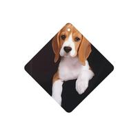 Phayah Square Car Air Fresheners Cards 6 Pcs Ovely Pet Dog Beagle Pattern Aromatherapy Tablets Hanging Scented Card - Lavender Scent Eliminate Odor