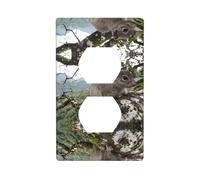 Phayah Squirrel in Ancient Tree Pattern Outlet Covers Wall Plate Receptacle Duplex Light Switch Cover Plate Single Dual Plug Electrical Switchplate