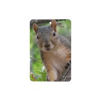 Phayah Squirrel In The Tree Pattern Lavender Scent Car Air Freshener Rectangle Card Hanging Hanging Scented Card 4 Pcs For Cars Closet Drawer Eliminate