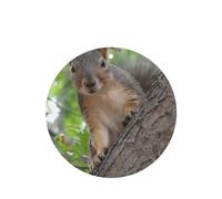 Phayah Squirrel In The Tree Pattern Lavender Scent Car Air Freshener Round Shape Card Hanging Hanging Scented Card 6 Pcs For Cars Closet Drawer Eliminate