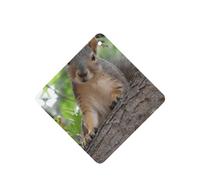 Phayah Squirrel In The Tree Pattern Lavender Scent Car Air Freshener Square Card Hanging Hanging Scented Card 6 Pcs For Cars Closet Drawer Eliminate