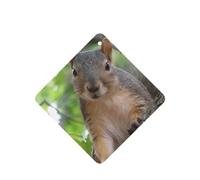 Phayah Squirrel In The Tree Pattern Lavender Scent Car Air Freshener Square Card Hanging Hanging Scented Card 4 Pcs For Cars Closet Drawer Eliminate