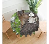 PHAYAH Squirrel In The Tree Pattern Round Decorative Tablecloth 60in, Farmhouse Holiday Party Round Tablecloth Living Room Kitchen Decorations