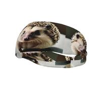 Phayah Sweatbands Cute Hedgehog Pattern Workout Sport Headbands Absorbing Headband Wide For Basketball Football Cycling Running Yoga