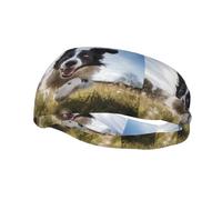 Phayah Sweatbands Running Border Collie Pattern Workout Sport Headbands Absorbing Headband Wide For Basketball Football Cycling Running Yoga