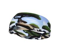 Phayah Tree By The Rock Pattern Headbands Women Men Sweatband Sports Headband For Running, Cycling, Yoga Gym, Working Out