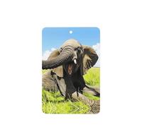 Phayah Trumpet Elephant Pattern Lavender Scent Car Aroma Rectangle Hanging Fragrance Tablet Car Interior Fragrance Freshener 6p