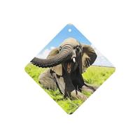 Phayah Trumpet Elephant Pattern Lavender Scent Car Aroma Square Hanging Fragrance Tablet Car Interior Fragrance Freshener 6p