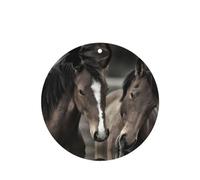Phayah Two Horses Pattern Lavender Scent Car Air Freshener Round Shape Card Hanging Hanging Scented Card 6 Pcs For Cars Closet Shoe