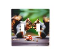 Phayah Two Squirrels Eating Pattern Double Light Switch Cover Plates Decorative Wall Plate Double Toggle Lightswitch Cover