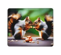 PHAYAH Two Squirrels Eating Pattern Mouse Pad Waterproof Surface & Non-Slip Rubber Base with Stitched Edges Gaming Mouse Mat for Laptop 10 X 12 Inch