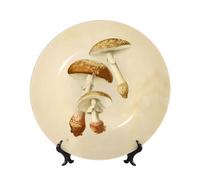 PHAYAH Vintage Edible Mushrooms Printing Bone China Decorative Plate Ceramic Dinner Plates Crafts with Vertical Stand for Home Office Decor 8in