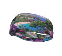 Phayah Watching The Sea Pattern Women Men Athletic Sweatbands Hair Bands For Yoga Running Moisture Elastic Sweat Wicking Head Band