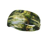Phayah Water Lilies In The Pond Pattern Headbands Women Men Sweatband Sports Headband For Running, Cycling, Yoga Gym, Working Out
