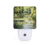 PHAYAH Water Lilies in The Pond Pattern Night Light Plug-in Led Auto Sensor Night Lamp Dusk-to-Dawn Lamp for Nursery Children Stairs Corridors