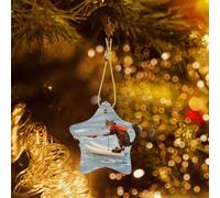 Phayah Water Skiing Fox Squirrel Pattern Ceramic Star-Shaped Christmas Tree Ornaments, Family New Year Home Souvenirs For Gatherings