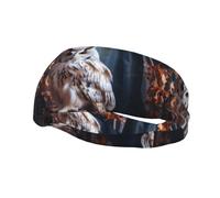 Phayah Wise Owls Pattern Headbands Women Men Sweatband Sports Headband for Running, Cycling, Yoga Gym, Working Out