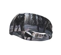 Phayah Wolf in Snow Pattern Women Men Athletic Sweatbands Hair Bands for Yoga Running Moisture Elastic Sweat Wicking Head Band