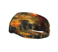 Phayah Woods in The Sun Pattern Women Men Athletic Sweatbands Hair Bands for Yoga Running Moisture Elastic Sweat Wicking Head Band