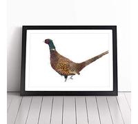 Pheasant Bird in Winter Framed Wall Art Picture Print - Canvas Painting - Modern Home Décor Poster - Ready to Hang for Living Room Bedroom Kitchen - Black A1 (66 x 90 cm)