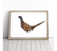 Pheasant Bird in Winter Framed Wall Art Picture Print - Canvas Painting - Modern Home Décor Poster - Ready to Hang for Living Room Bedroom Kitchen - Oak A3 (36 x 48 cm)