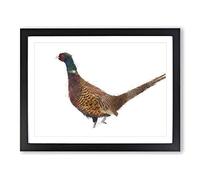 Pheasant Bird In Winter Painting Modern Art Framed Print | A3 Black Framed Wall Art | Ready to Hang | Modern Landscape Picture | Living Room Bedroom Lounge Office
