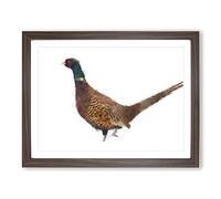 Pheasant Bird In Winter Painting Modern Art Framed Print | A4 Walnut Framed Wall Art | Ready to Hang | Modern Landscape Picture | Living Room Bedroom Lounge Office