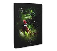 Pheasant Bird Vol.1 Paint Splash Canvas Print | Gallery Wrapped 30mm Frame Wall Art | 20x14 inches | Ready to Hang | Modern Animals Picture | Living Room Bedroom Lounge Office