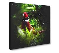 Pheasant Bird Vol.1 Paint Splash Modern Canvas Wall Art Print Ready to Hang, Framed Picture for Living Room Bedroom Home Office Décor, 20x20 Inch (50x50 cm)