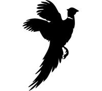 Pheasant Car,Camper Van Window 4x4 Stickers Decals #1