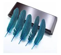 pheasant feathers, Pheasant & Spotted Pearl Chicken Feathers, Multicolor, 5-7in, 100pcs